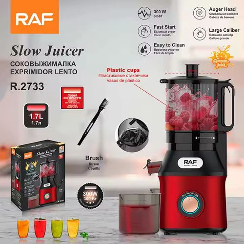 RAF SLOW JUICER - 300W