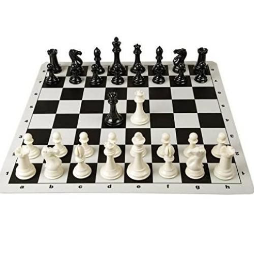 Portable Chess Cup Game